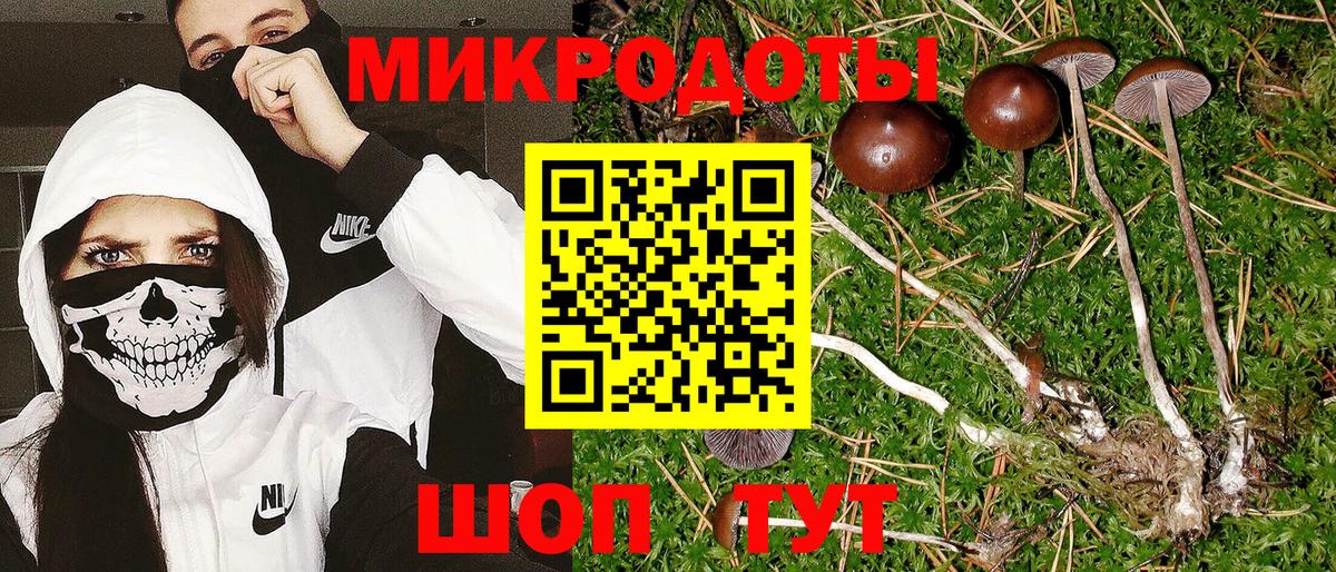 где купить наркоту  Псилоцибиновые грибы MAGIC MUSHROOMS  Вход с VPN  Зеленокумск  Галлюциногенные грибы мухоморы 